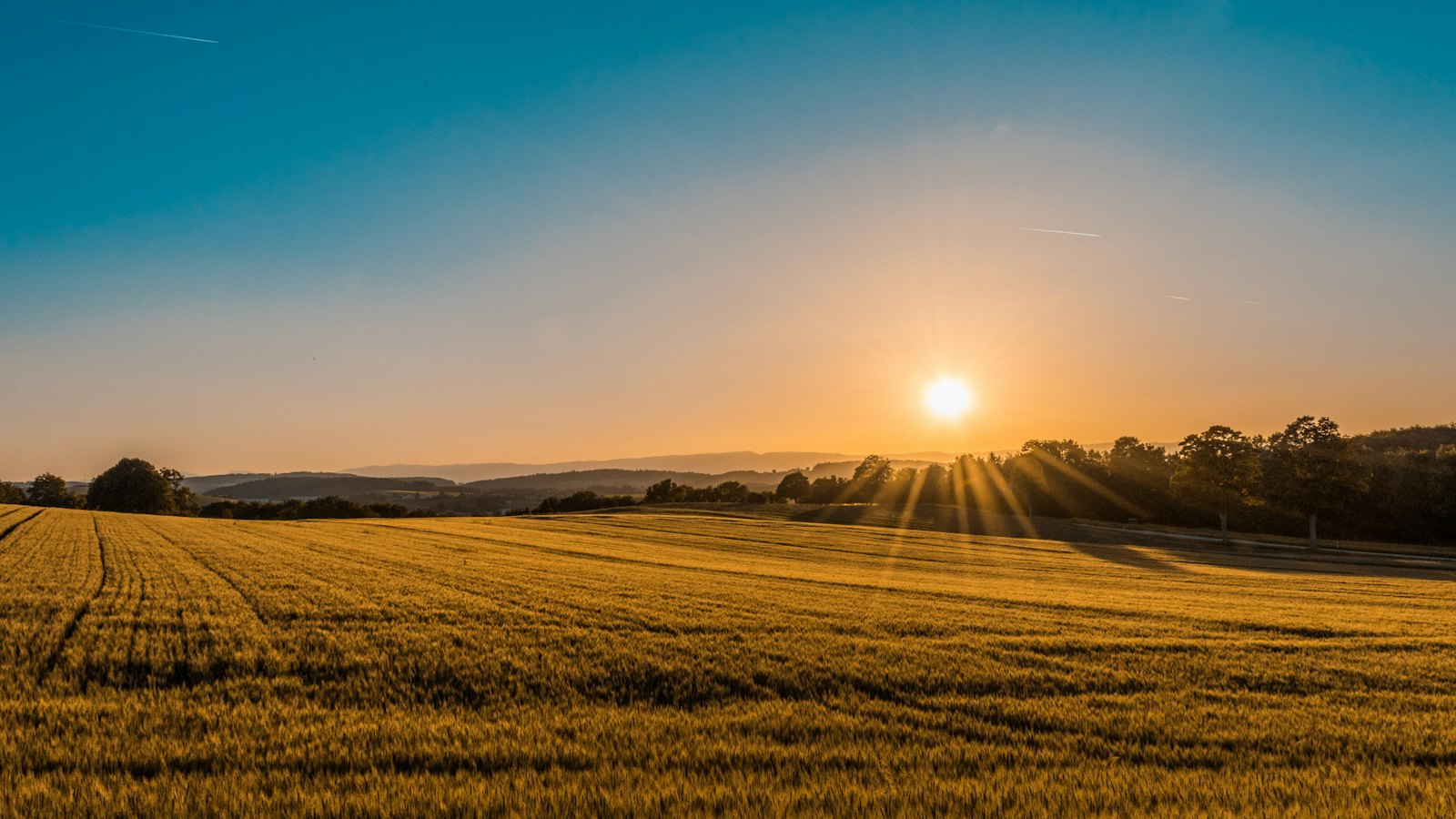 Open field at sunset